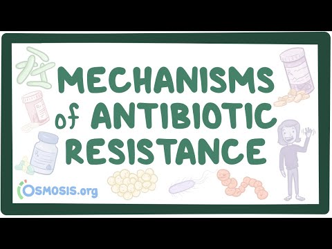 Mechanisms of antibiotic resistance