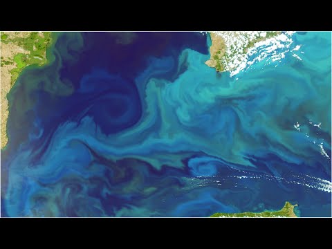How are Satellites Used to Observe the Ocean